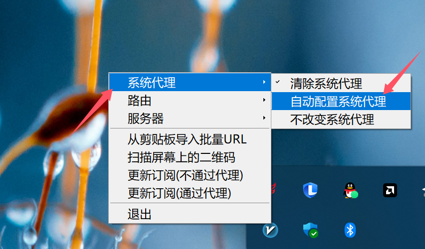 开启系统代理